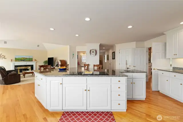 Kitchen into family Room