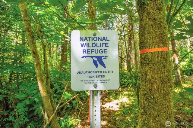 Property backs up to a Naturak Wildlife Area