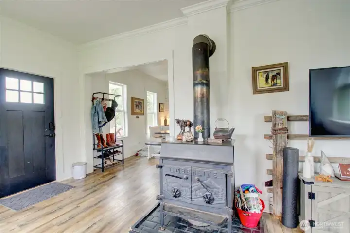 Wood burning stove. Mini split system for cooling