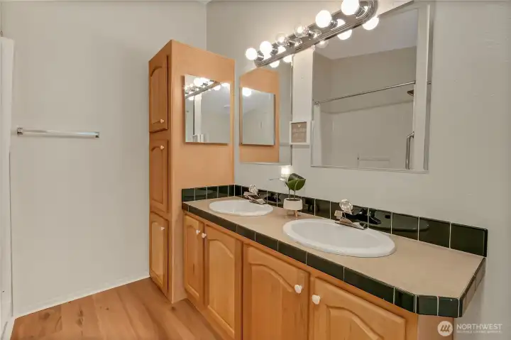 Primary bathroom, shower has a very low step over