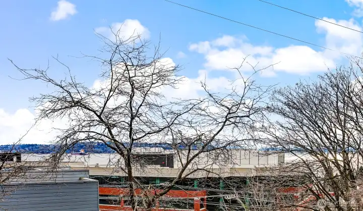 View from Unit Patio