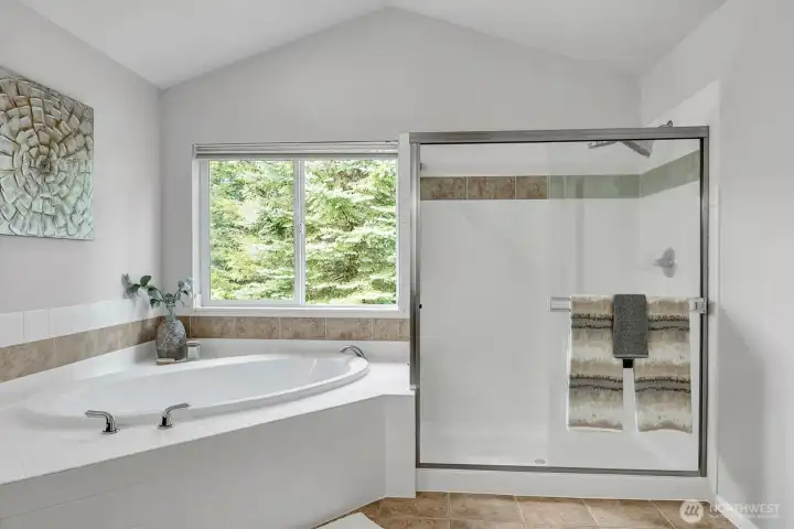 Primary Bath with soaking tup and shower