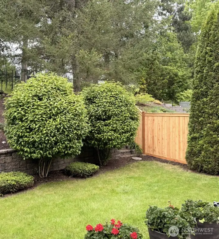 Added Privacy fence Added Privacy fence