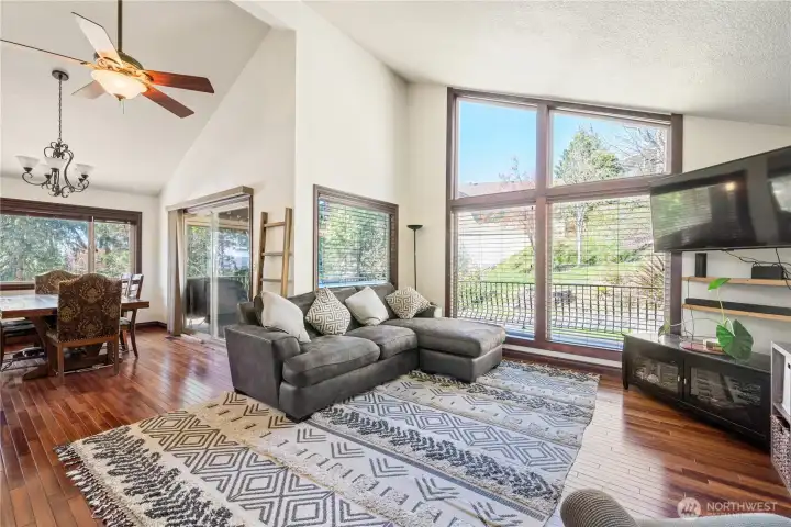 Light Filled Living Room