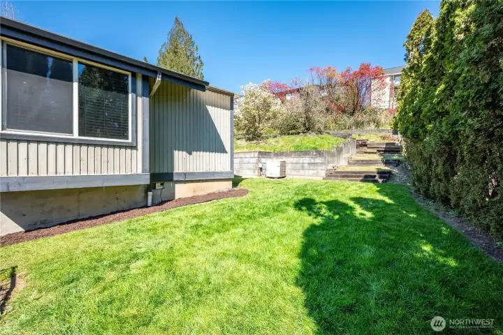 Side Yard Side Yard