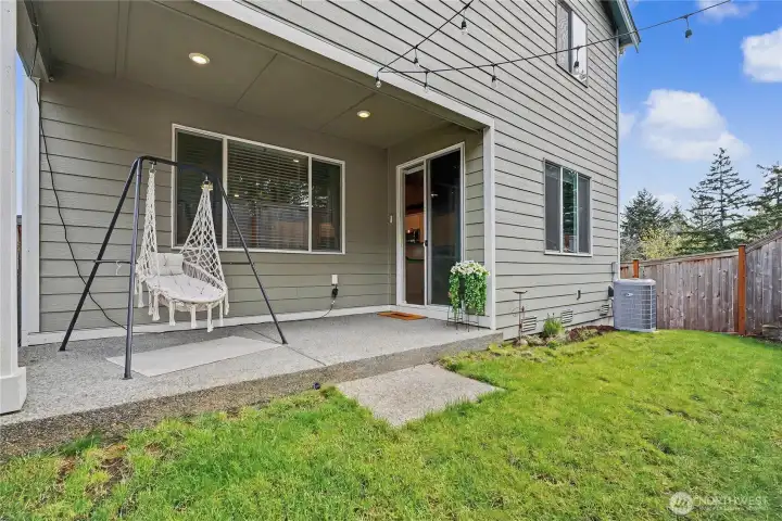 Another view of the back yard.