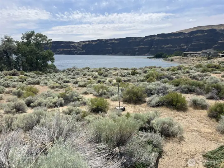 View of the Cove from the upper part of the lot