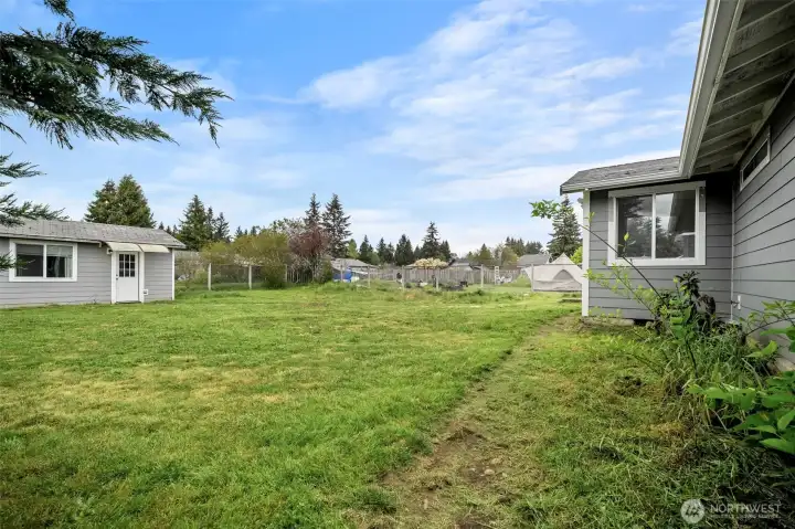 Backyard