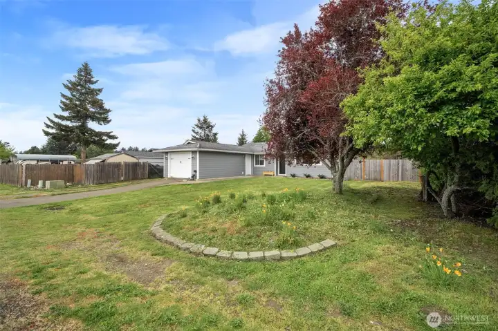 Front yard
