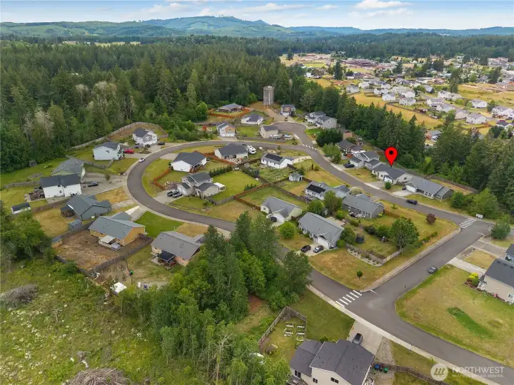Aerial neighborhood view showing the Trotter Downs setting near trees, hills, and Rainier amenities.