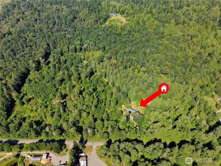 41.67 acres in the heart of Chimacum