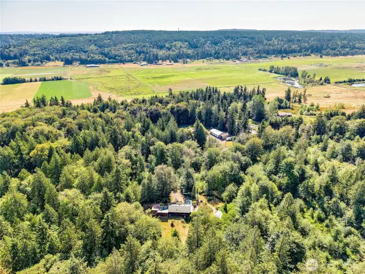 41.67 acres in the heart of Chimacum