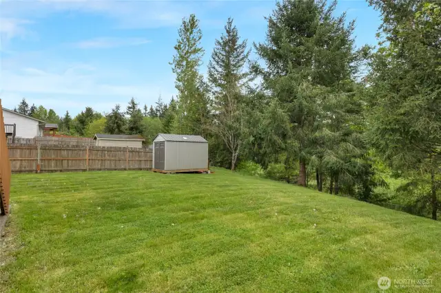 Backyard overlooks greenbelt with trees