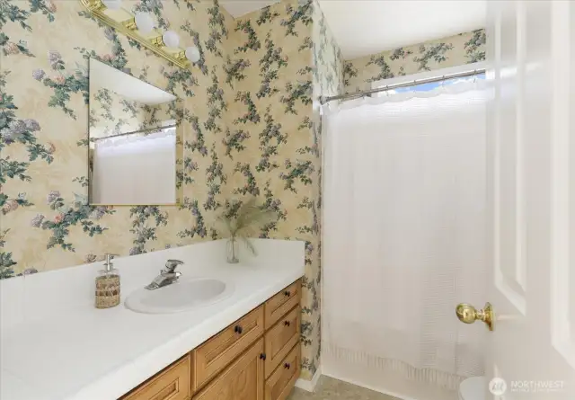 Lower level full bathroom.
