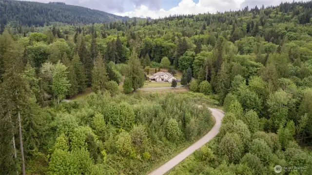 Surrounded by forest above Deming
