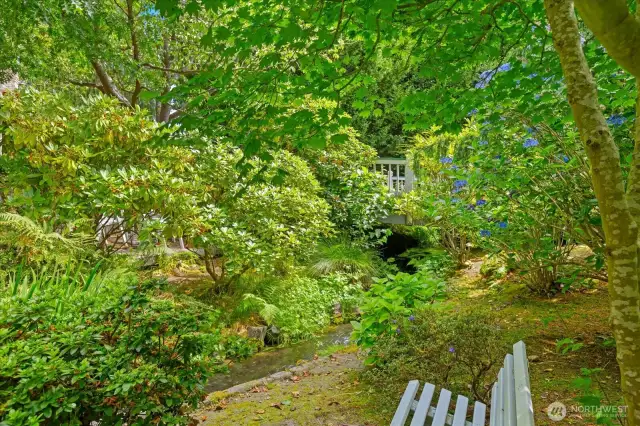 Bench seating to sit and enjoy the creek