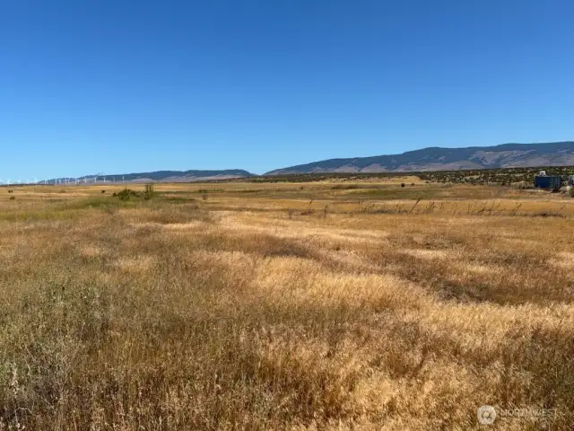 Non magnified picture of lot shot north toward wind mills.