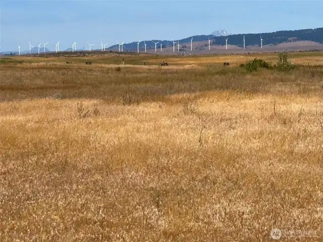 Magnified  outlook to Wind Mills