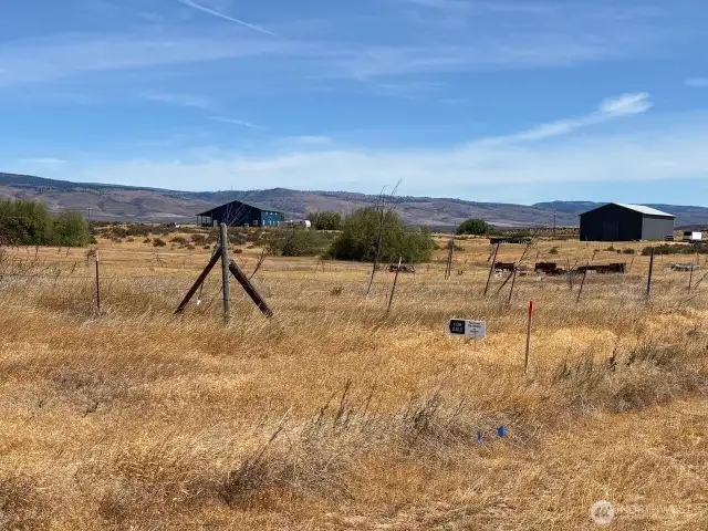 Fluorescent tipped stake & directional arrow & neighbors fence are on the east boundary of our lot.Our 5 acre parcel is 316 ft wide by appx 655ft deep.