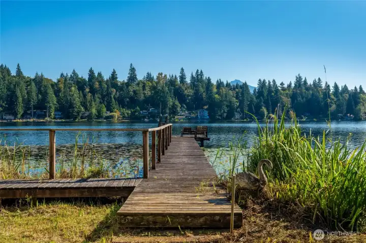 Lakefront paradise!
