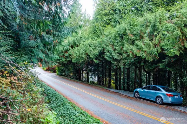 View of the lot from the street