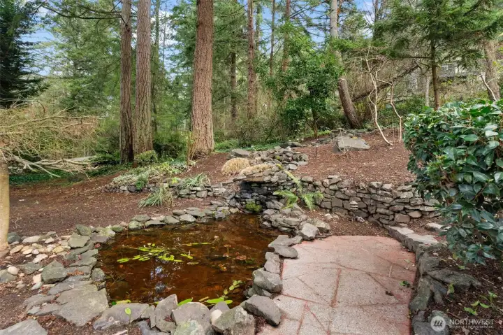 Charming backyard pond, can function as a waterfall, enhances natural appeal.