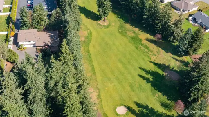 Tree line and netting fencing near golf course