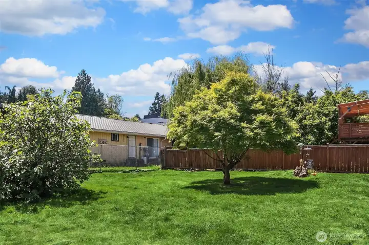 Backyard Facing Home