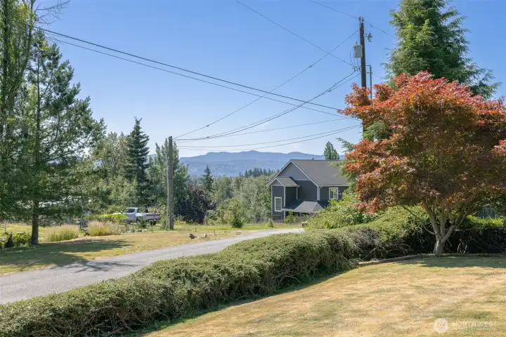 Front Yard Maple Tree & View Front Yard Maple Tree & View
