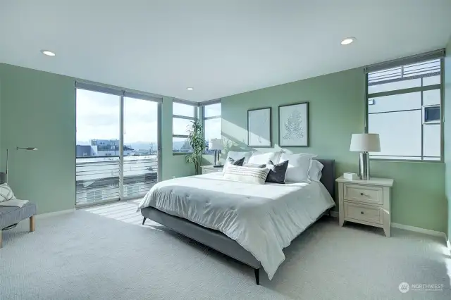 Top floor primary bedroom is double the size of most townhouse bedrooms at over 500 square feet!