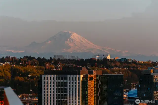 A final shot of Mt. Rainier from the rooftop deck.