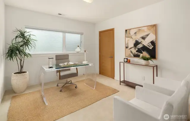 The 4th bedroom, office or gym on the lower level. The closet offers organizers.