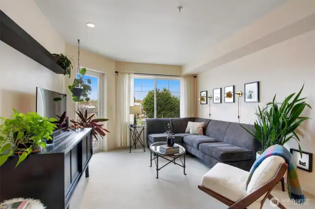 Tons of light in this condo - a great spot for plants to thrive, even with North exposure