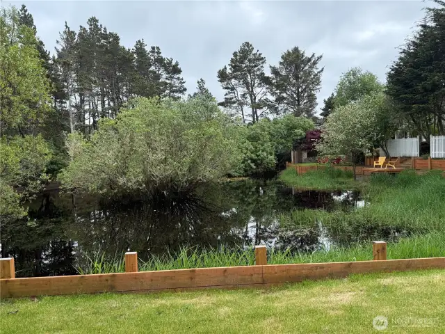 Passing a lovely pond where ducks and geese enjoy the tranquil peace.