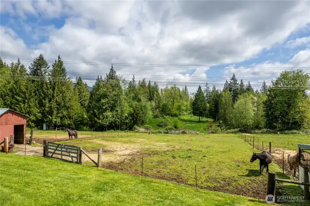 3 of 8 covered paddocks each w/water access