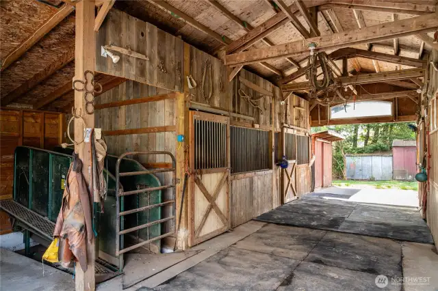 Horse Treadmill available