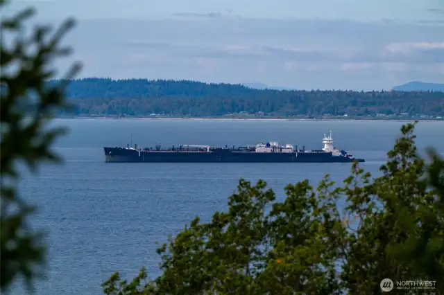 Bellingham Bay