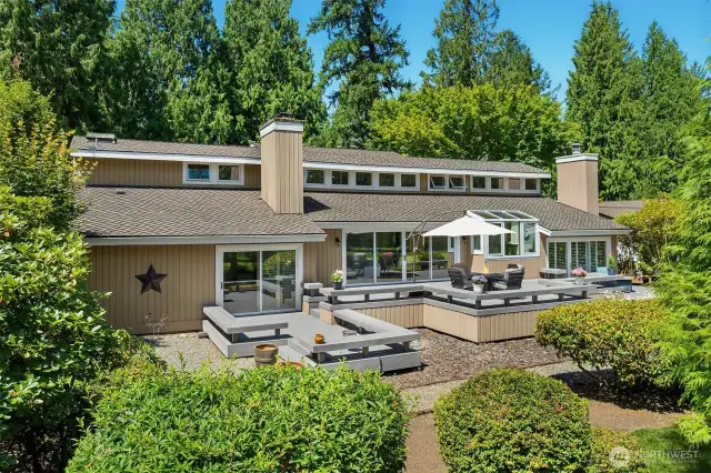 Sunlit windows frame lush backyard views