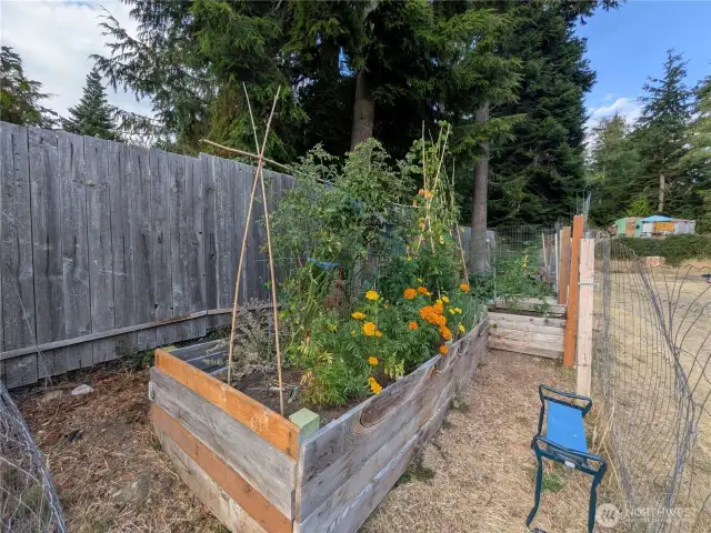 Productive gardens