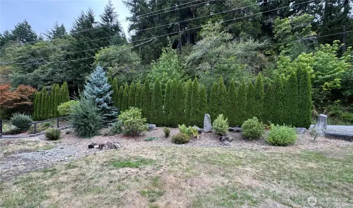 Backyard landscaping that buffers the road.