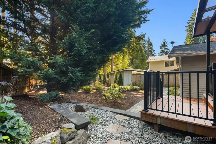 Landscaped backyard with paver walkway and storage shed.
