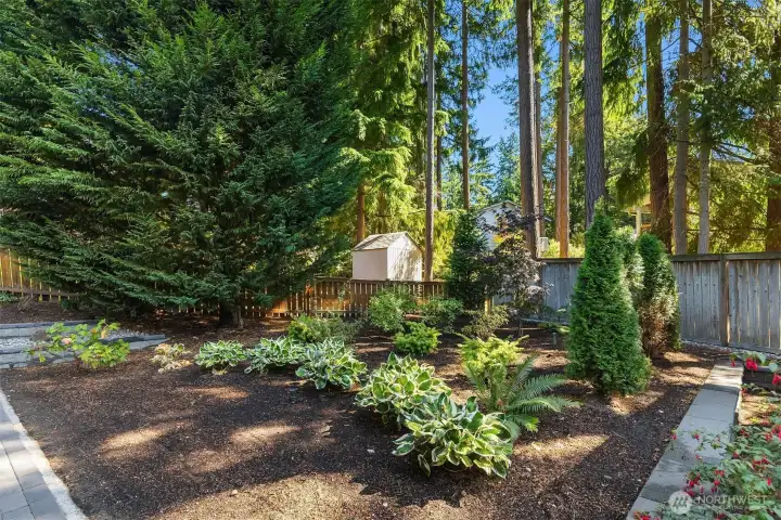 Landscaped backyard with paver walkway and storage shed.