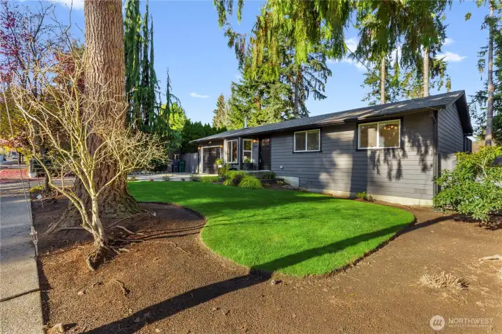 Single-level home with fresh landscaping, mature trees, and a welcoming front yard—perfect curb appeal in a serene setting.