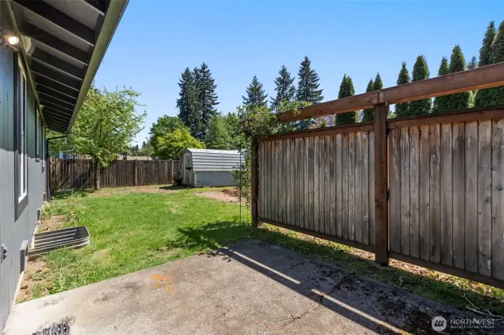 Back Patio