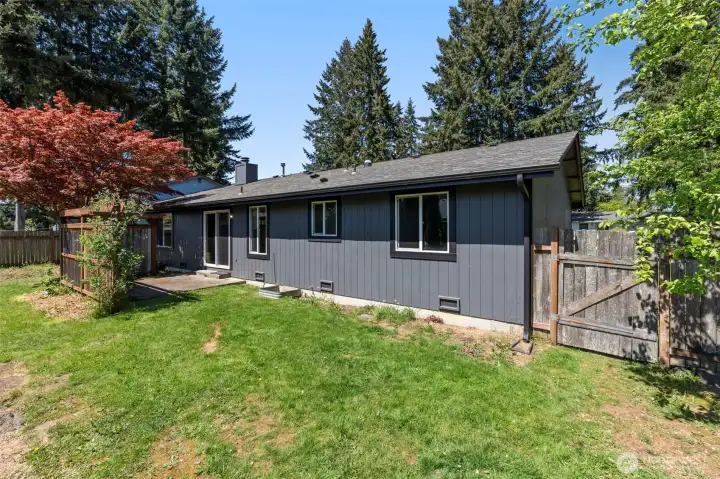Spacious Back Yard