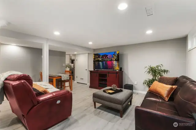 Lower Level Living Room