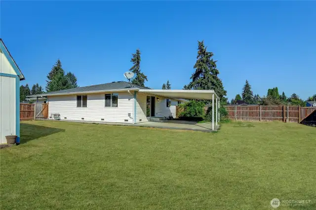 Unit B, Back Yard