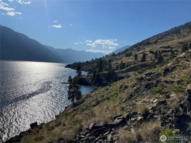 Shoreline