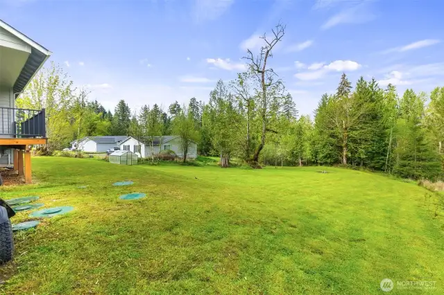 Look at the size of that backyard!