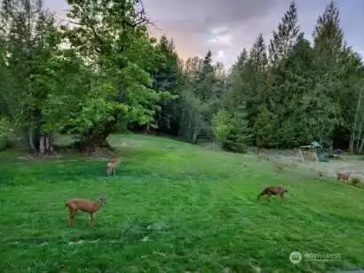 East/West facing allows for taking in stunning sunsets & scenery from the covered back deck.